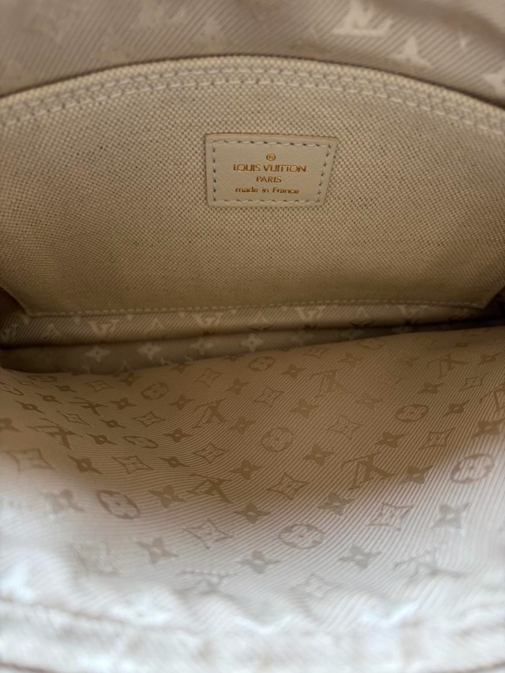 Louis Vuitton Tinkerbell Polka Dots Panama Canvas Handbag - Picture 10 of 11